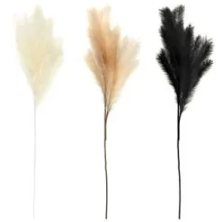 B&M Pampas Stem - Black -Furniture Shop 372800 395541 394382 pamas stem group