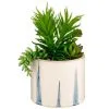 B&M Succulent In Blue Drip Pot -Furniture Shop 380106 succulent in blue drip pot