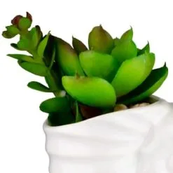 B&M Scandi Shore Small Shell Succulent 16 B&M Scandi Shore Small Shell Succulent -Furniture Shop 380110 small shell succulent 2
