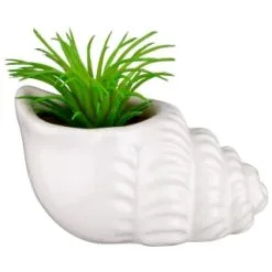 B&M Scandi Shore Small Shell Succulent 12 B&M Scandi Shore Small Shell Succulent -Furniture Shop 380110 small shell succulent 4