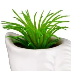 B&M Scandi Shore Small Shell Succulent 18 B&M Scandi Shore Small Shell Succulent -Furniture Shop 380110 small shell succulent 5