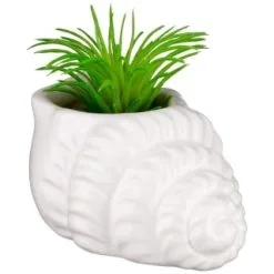B&M Scandi Shore Small Shell Succulent 15 B&M Scandi Shore Small Shell Succulent -Furniture Shop 380110 small shell succulent 6