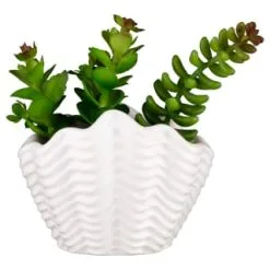 B&M Scandi Shore Small Shell Succulent 13 B&M Scandi Shore Small Shell Succulent -Furniture Shop 380110 small shell succulent 7