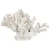 B&M Coral Ornament -Furniture Shop 380283 coral ornament