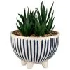 B&M Scandi Shore Stripe Succulent -Furniture Shop 380604 scandi shore stripe succulent 3