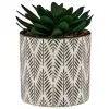 B&M Succulent In Botanist Print Pot - Green -Furniture Shop 380608 patterened pot with succulent