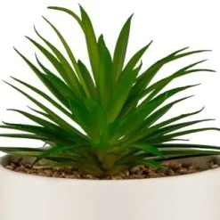 B&M Scandi Shore Succulent In White Pot -Furniture Shop 380696 succulent in white pot 2