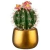 B&M Lush Paradise Cactus In Gold Pot -Furniture Shop 380714 cactus in gold pot