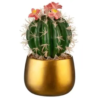 B&M Lush Paradise Cactus In Gold Pot 3 B&M Lush Paradise Cactus In Gold Pot