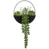 B&M Eden Life Round Trailing Plant