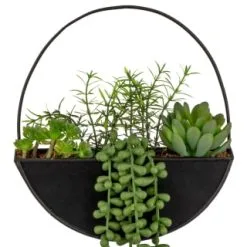 B&M Eden Life Round Trailing Plant -Furniture Shop 380727 black hanging trailing plant 2