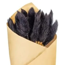 B&M Dried Black Bunny Tail Bunch -Furniture Shop 387543 dried black bunny tail bunch 2