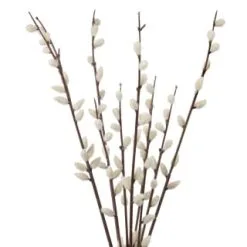 B&M Pussy Willow In White Vase 5 B&M Pussy Willow In White Vase -Furniture Shop 387576 pussy willow in white vase 2