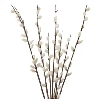 B&M Pussy Willow In White Vase 4 B&M Pussy Willow In White Vase - Image 2
