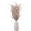 B&M Pampas In White Vase 1 B&M Pampas In White Vase -Furniture Shop 387577 real pampas in white pot