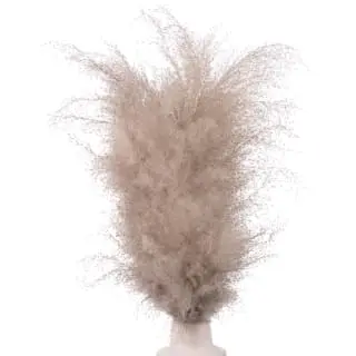 B&M Pampas In White Vase 4 B&M Pampas In White Vase - Image 2