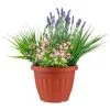 Bloom Flowers In Large Planter - Light Pink