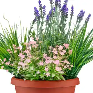 Bloom Flowers In Large Planter - Light Pink 4 Bloom Flowers In Large Planter - Light Pink - Image 2