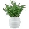 Bloom Premium Foliage In Cream Planter -Furniture Shop 392863 premium foliage in cream planter