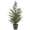 Bloom Conifer Tree In Plant Pot -Furniture Shop 392865 conifer tree in plant pot