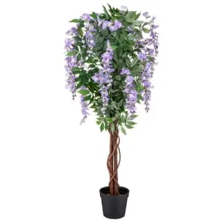 Bloom Wysteria Tree In Pot - Purple 3 Bloom Wysteria Tree In Pot - Purple