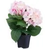 Bloom Hydrangea In Pot - Pink -Furniture Shop 392961 hydrangea in pot pink