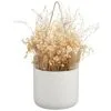 B&M Hanging Dried Flowers -Furniture Shop 394311 hanging dried flowers