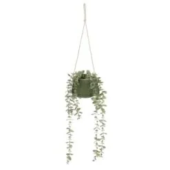 B&M Hanging Foliage In Green Ceramic Pot