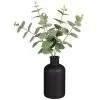 B&M Eucalyptus In Black Pot -Furniture Shop 394336 eucalyptus in black pot