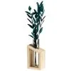 B&M Plant In Glass & Wooden Vase -Furniture Shop 394337 plant in glass and wooden vase