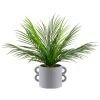 B&M Fern In Double Handle Pot -Furniture Shop 394340 fern in double handle pot