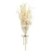 B&M Dried Flower Bunches - Pink -Furniture Shop 394378 neutral dried bunches 3