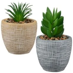 B&M Small Succulent Pot - Stone 7 B&M Small Succulent Pot - Stone -Furniture Shop 394663 small succulent group