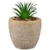 B&M Small Succulent Pot - Stone