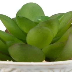 B&M Assorted Embossed Pots -Furniture Shop 394664 embossed pot 6