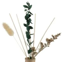 B&M Eden Life Reed Diffuser - Jasmine & Casis -Furniture Shop 395412 diffuser with dried flowers 3